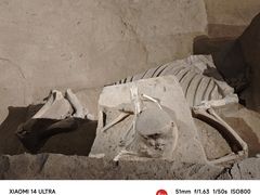 -洛阳周王城天子驾六博物馆