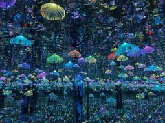 -深圳独角兽星空艺术馆