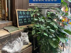 -磁器口古镇