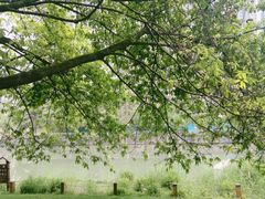 -成都市活水公园
