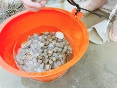 -北海金海湾红树林生态旅游区