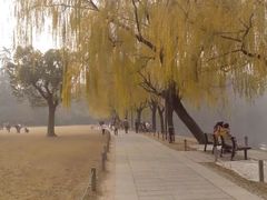 -西湖外事游船(花港观鱼码头)