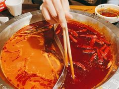 -大龙燚火锅(春熙店)