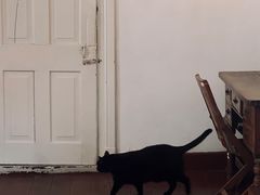-春风十里咖啡馆