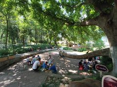 -成都市活水公园