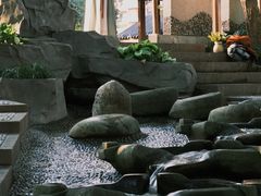 -成都市活水公园
