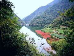 -东白山
