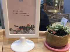 -猫的天空之城概念书店(印象城购物中心店)