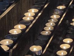 -斯蒂芬主教座堂(Stephansdom)