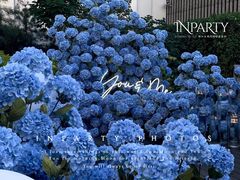 -InParty·游艇求婚策划生日派对布置(世纪大道店)