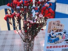 -陈鹏鹏潮汕菜(机场卫星厅·561登机口店)