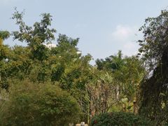 -深圳国际园林花卉博览园