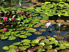 -国家植物园南园