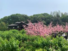 -三国水浒景区(无锡影视基地)