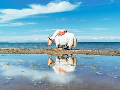 -青海湖国家重点风景名胜区