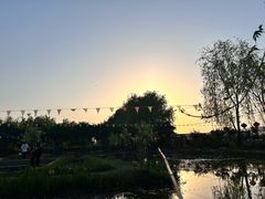 -同銮特种养殖场·龙虾垂钓