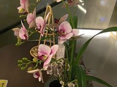 -施奈儿.洗头頭療.按摩SPA.采耳(上梅林店)