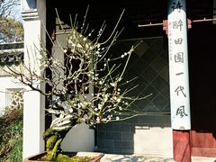 -苏州上方山国家森林公园