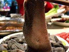 -枇杷园食为鲜火锅(南山店)