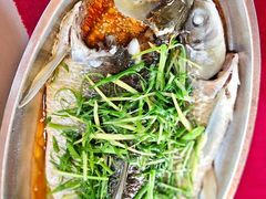 -麻奢鸽农庄·梦里水乡