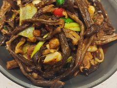 -凯鸽酒楼(操场城店)