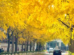 -四川大学(望江校区)