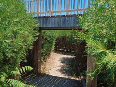 -亲兄弟真人CS团建拓展基地