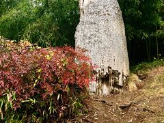 -南京市江宁方山