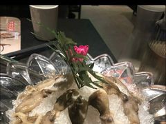 -煲宫猪肚鸡(昆山金鹰国际购物中心店)