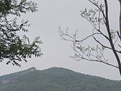 -抱犊寨风景区