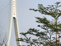 -中澳友谊花园