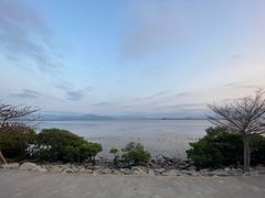 -深圳湾公园(南山区)