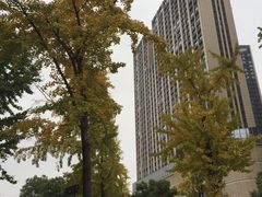 -常州明城墙