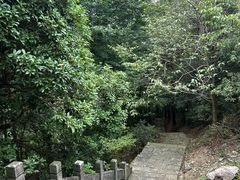-千岛湖石林