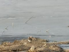 -绿堤公园