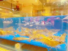 -海鲜自助餐厅·株洲大汉希尔顿酒店