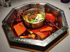 双人锅鸳鸯-蜀九香火锅(九眼桥店)