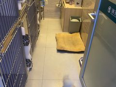 -瑞派宠物医院(锦江店)
