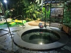 -丰泰花园酒店热矿泉