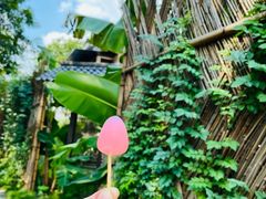 -西湖风景区十里琅珰-五云山