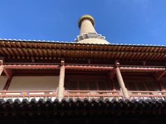 -张掖大佛寺景区