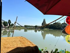 -水岸居湖景农家乐·阳澄湖大闸蟹