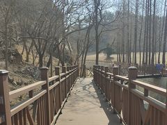 -棒棰岛宾馆景区