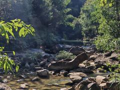 -广州白江湖森林公园