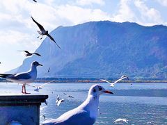-海埂大坝