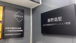 点击看大图 -藤野造型