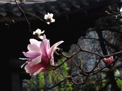 -碑林公园