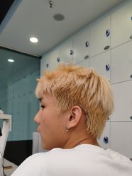 -YESIDO椰岛造型