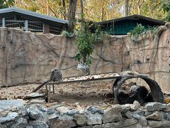 -清迈夜间动物园