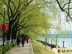 -长白岛森林公园